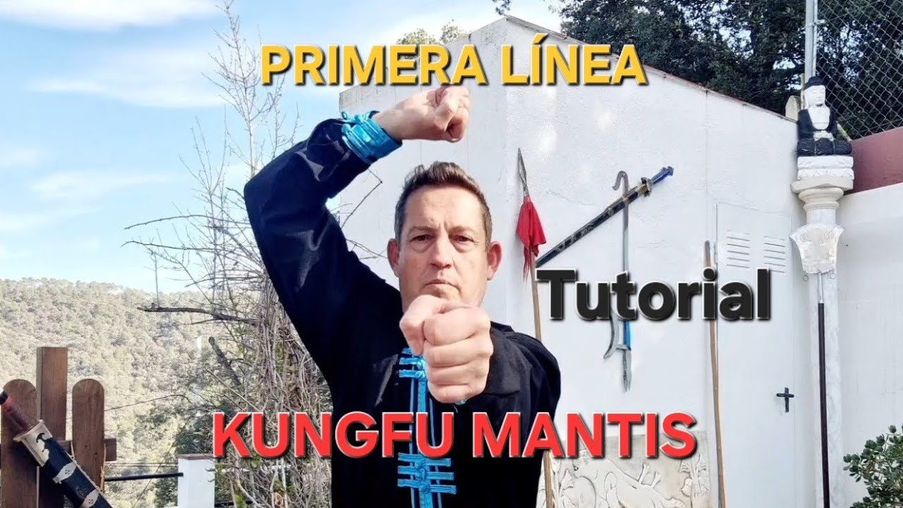 TUTORIAL (PRIMERA LÍNEA) EN EL KUNGFU DE LA MANTIS RELIGIOSA #kungfu#tanglangquan #wushu #mantis