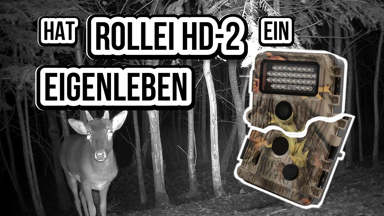 EIGENLEBEN der ROLLEI HD-2