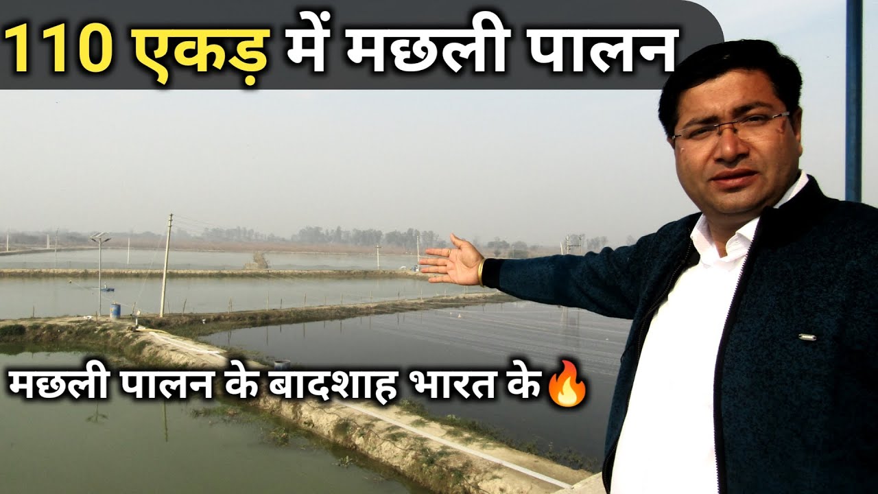 कमाई जान कर हैरान हो जाओगे | Fish farming in India | Biggest fish farm in India | @agrilcareer