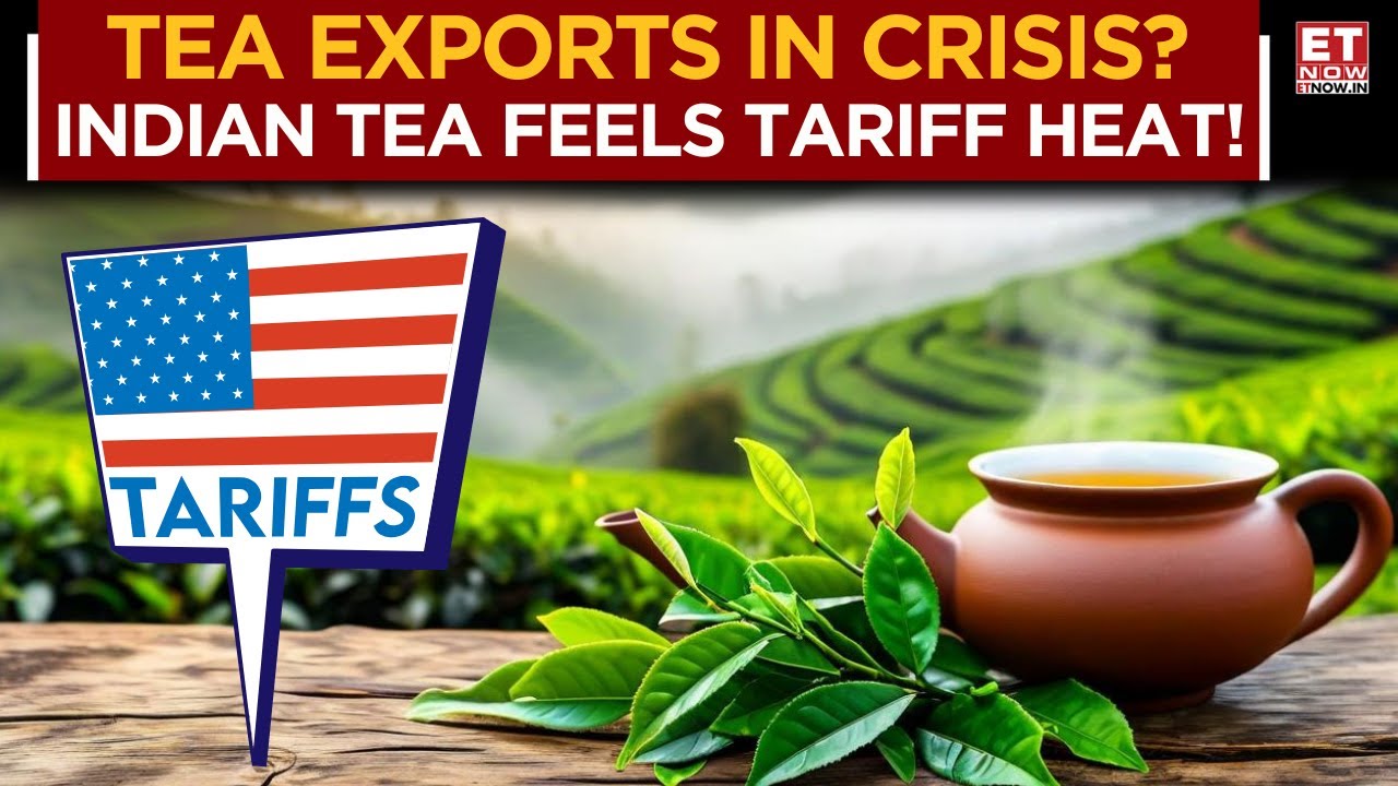 U.S. Tariffs Shock Indian Tea Industry: What's Next For India's Tea Industry? | Eye On Tea Exports