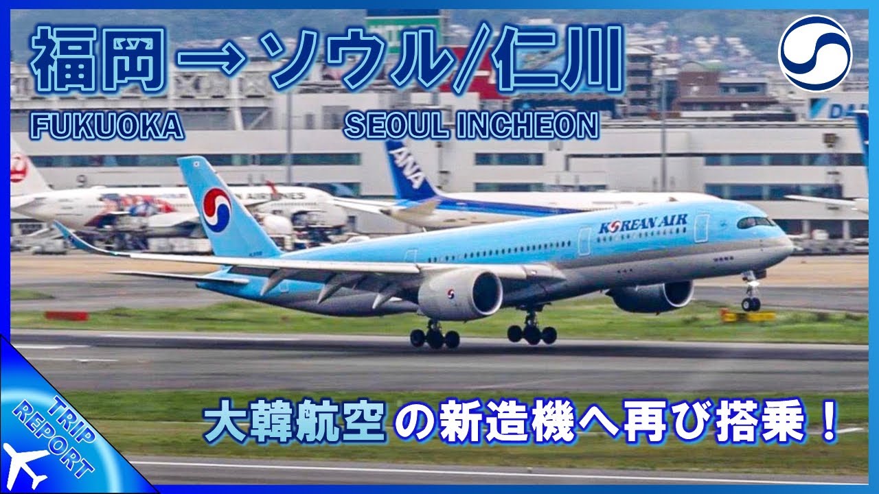 【KEの新造機に再び搭乗】大韓航空 | 🇯🇵 Fukuoka (FUK) ― 🇰🇷 Seoul Incheon (ICN) | 普通席 | Airbus A350–900 (HL8598)