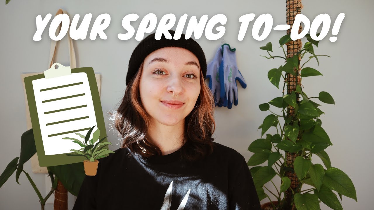 HOUSEPLANT TIPS FOR SPRING! how to best prepare for growing season 🦋