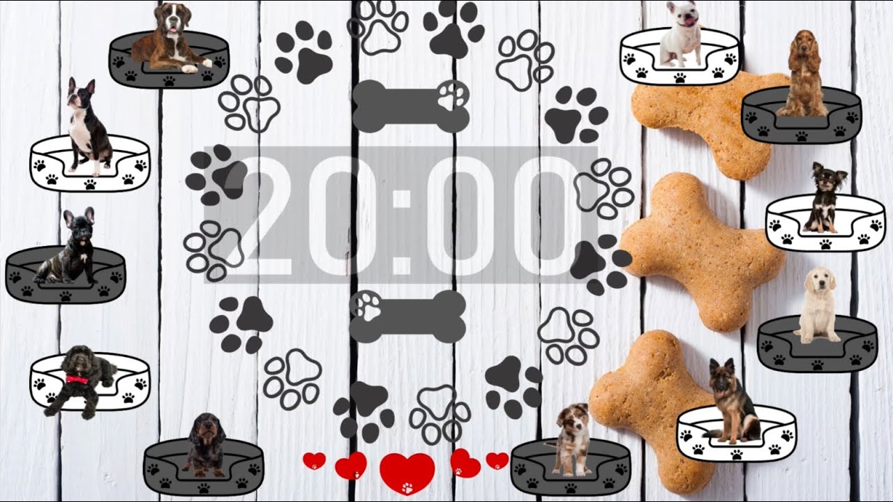 20 Minute Timer - Dog Themed