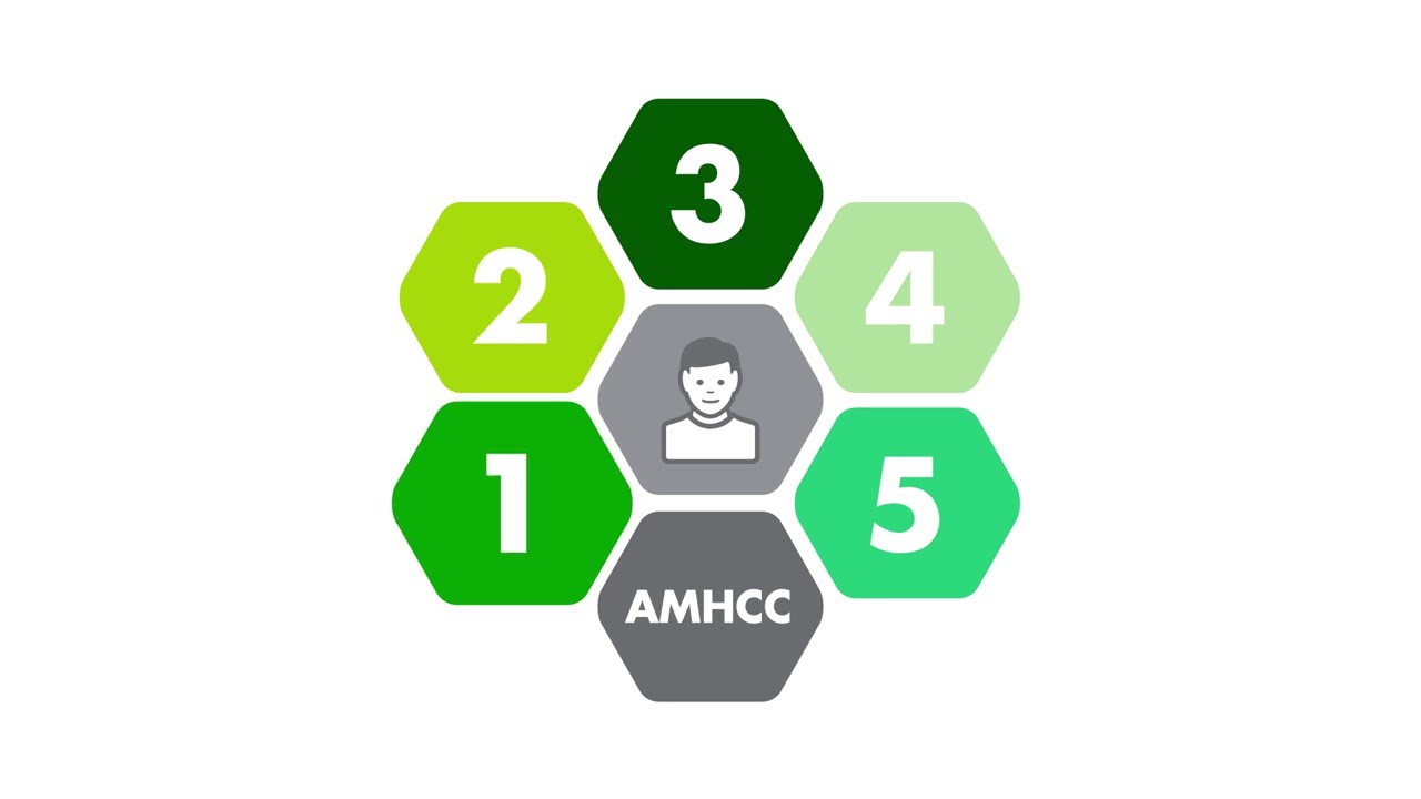 Australian Mental Health Care Classification