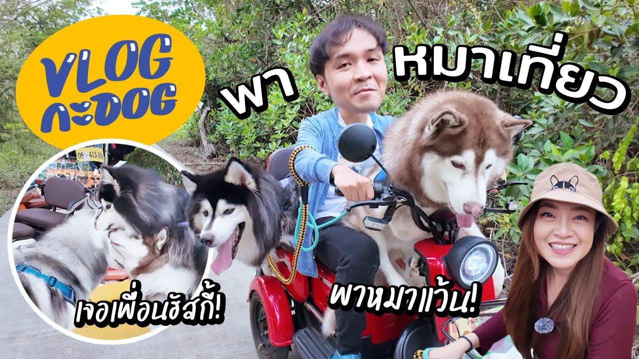 พาหมาสติแตกเที่ยว พาหมาแว้นครั้งแรก! // VlogกะDog