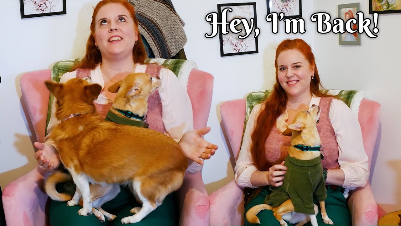 Я вернулся! (Снова)