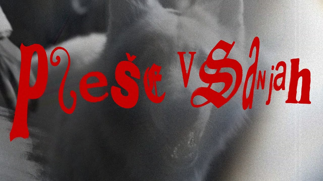 PAVEL PANON -  PLE&Scaron;E V SANJAH