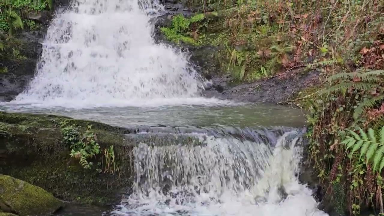 Arroyo Amunategi (Busturia)
