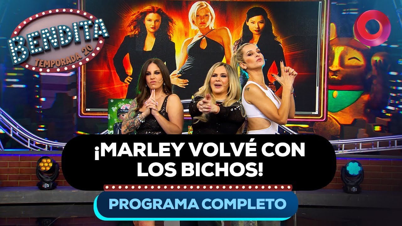 &iexcl;Marley volv&eacute; con los bichos! | #Bendita Completo 31/10 - El nueve