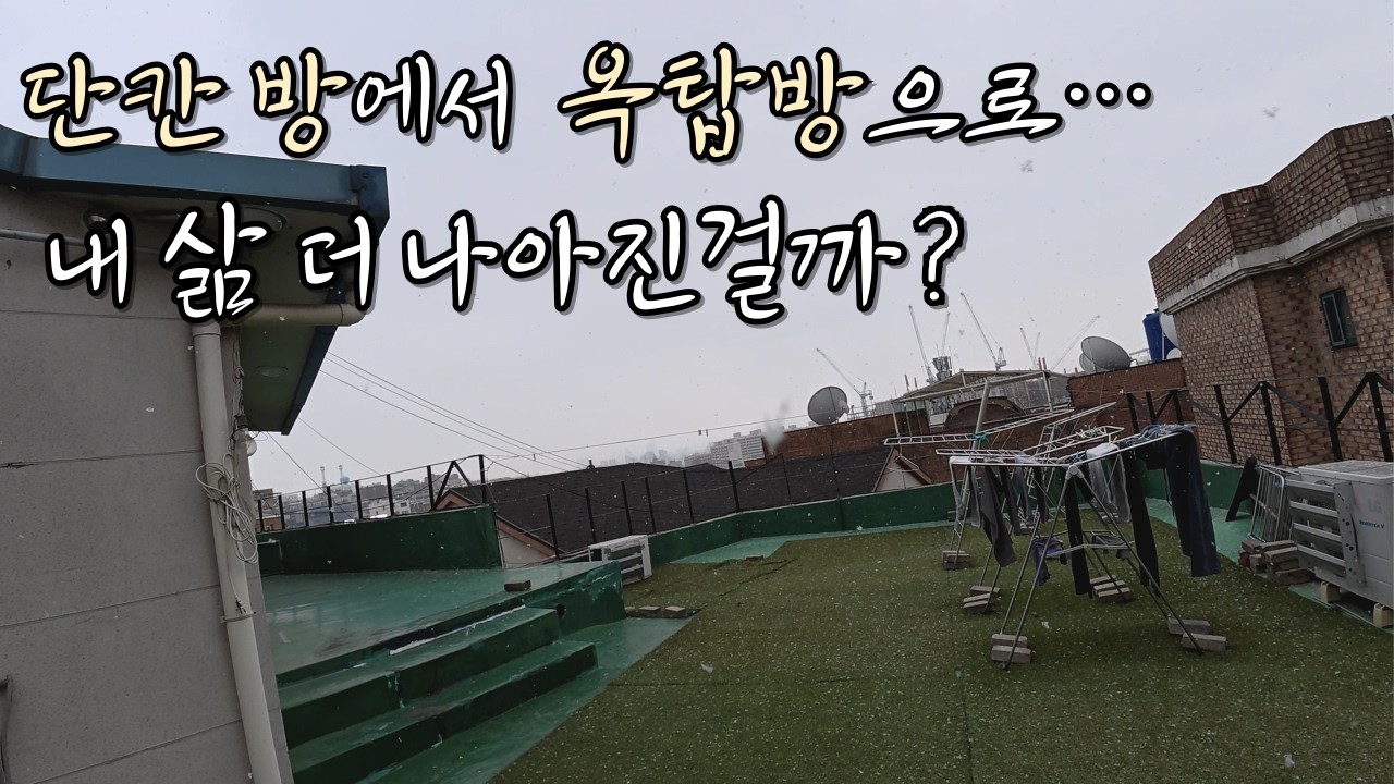 단칸방에서 옥탑방으로 업그레이드 된 삶 (but 멈출 수 없는 당근)
