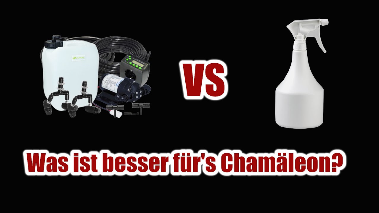 Spr&uuml;hen vs Beregnung was ist BESSER? | Cham&auml;leon Basics
