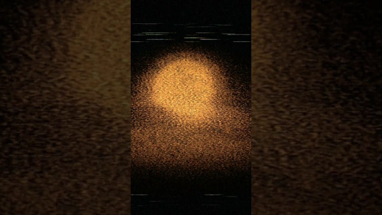 !!!#short#chickengun