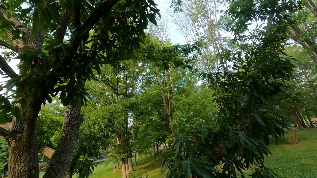 Adair Park