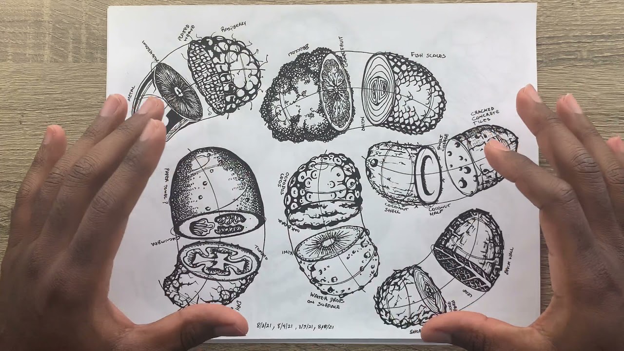 8 Things I Learned as a Beginner - Draw a Box Lesson 2 Review