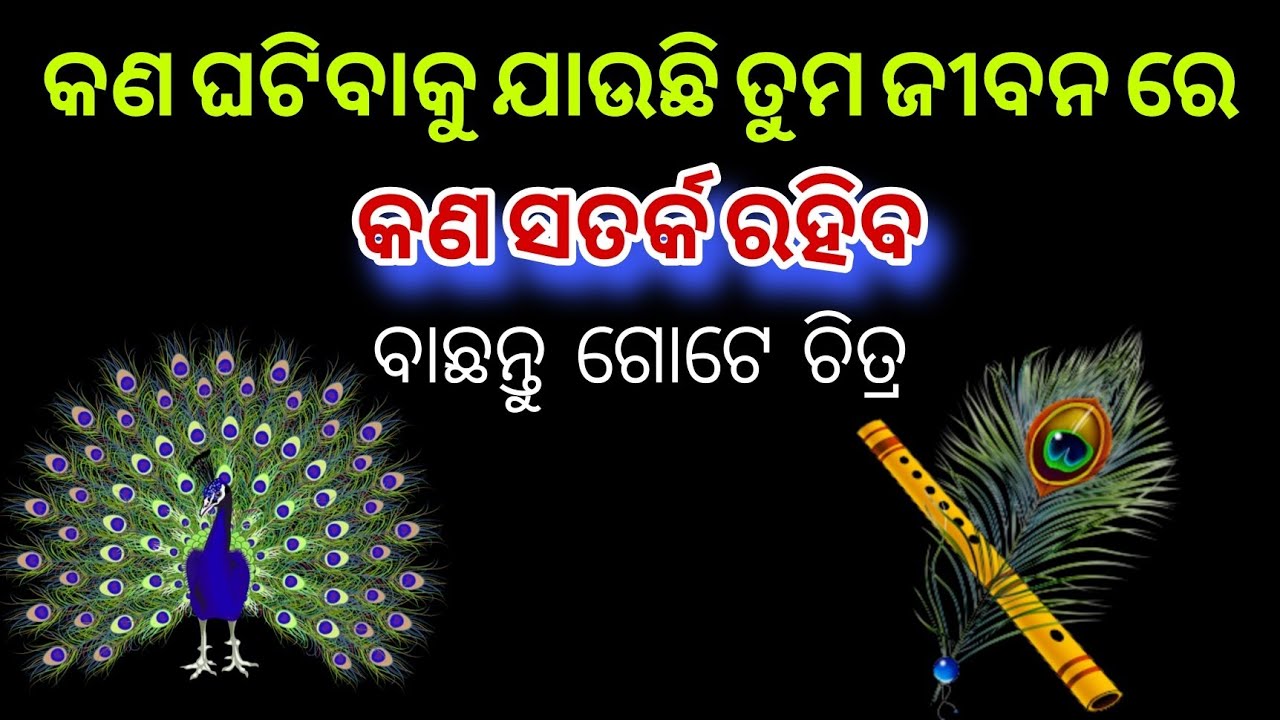 Pick a card Odia 🧿odia astrology 📌 Odia Tarot card reading