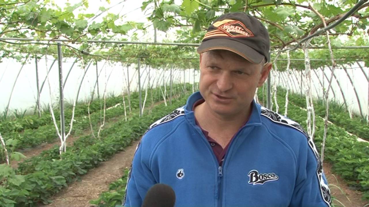 Сергей Шмалдаев