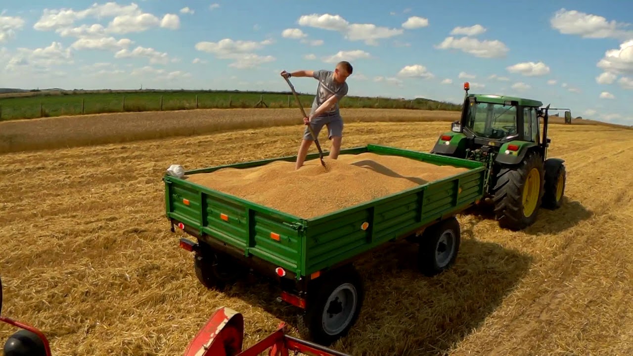 Żniwa u Kowcia 2019 (John Deere 6400 & Fahr m66s & Ursus c-330)