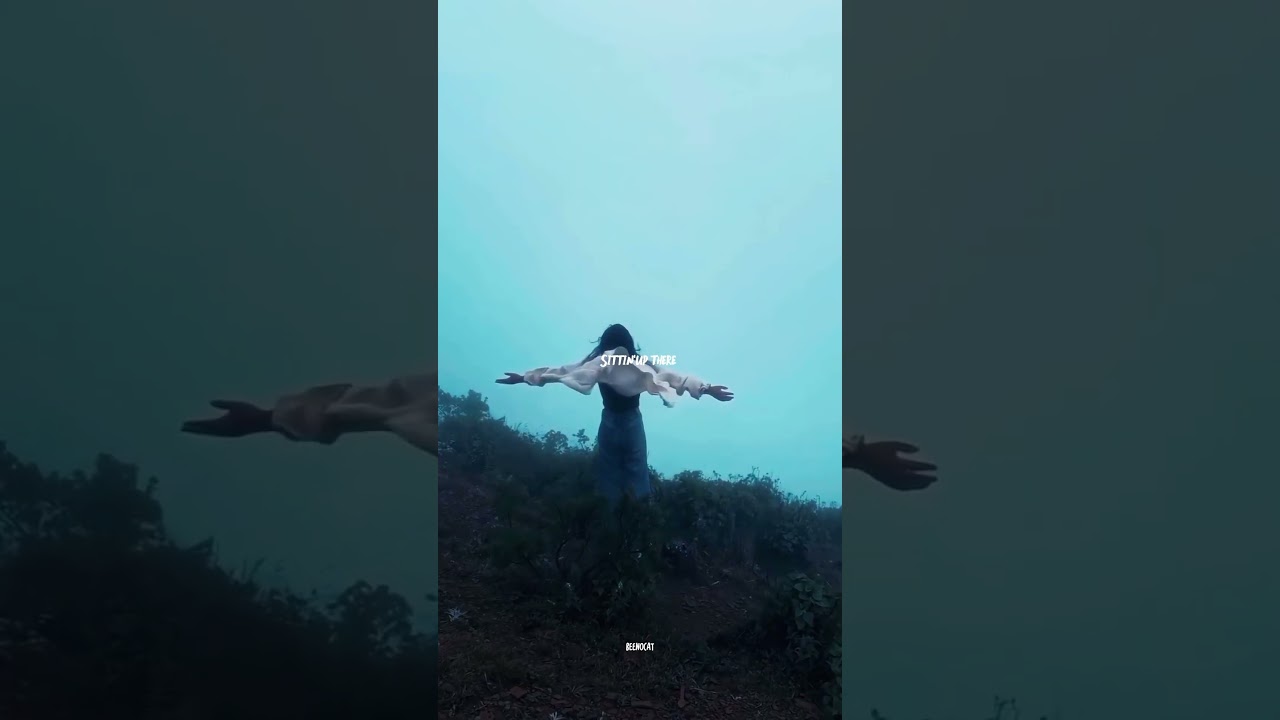 Without me🥺💔_HasIey  | Iyrics | whatsapp status | english songs | 