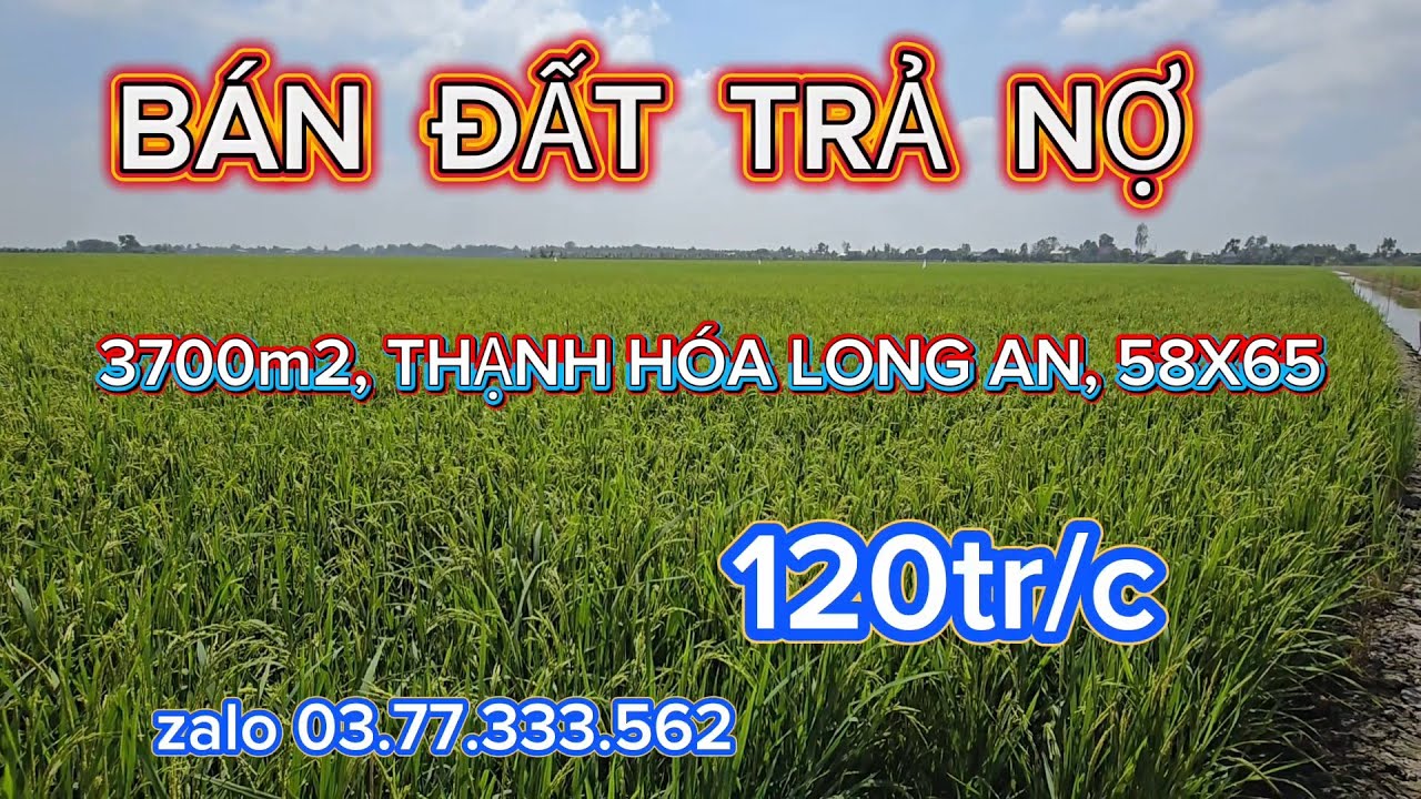 Bán  đất  ăn tết  3700m2, THẠNH HÓA LONG AN, 58X65  giá 120tr/c