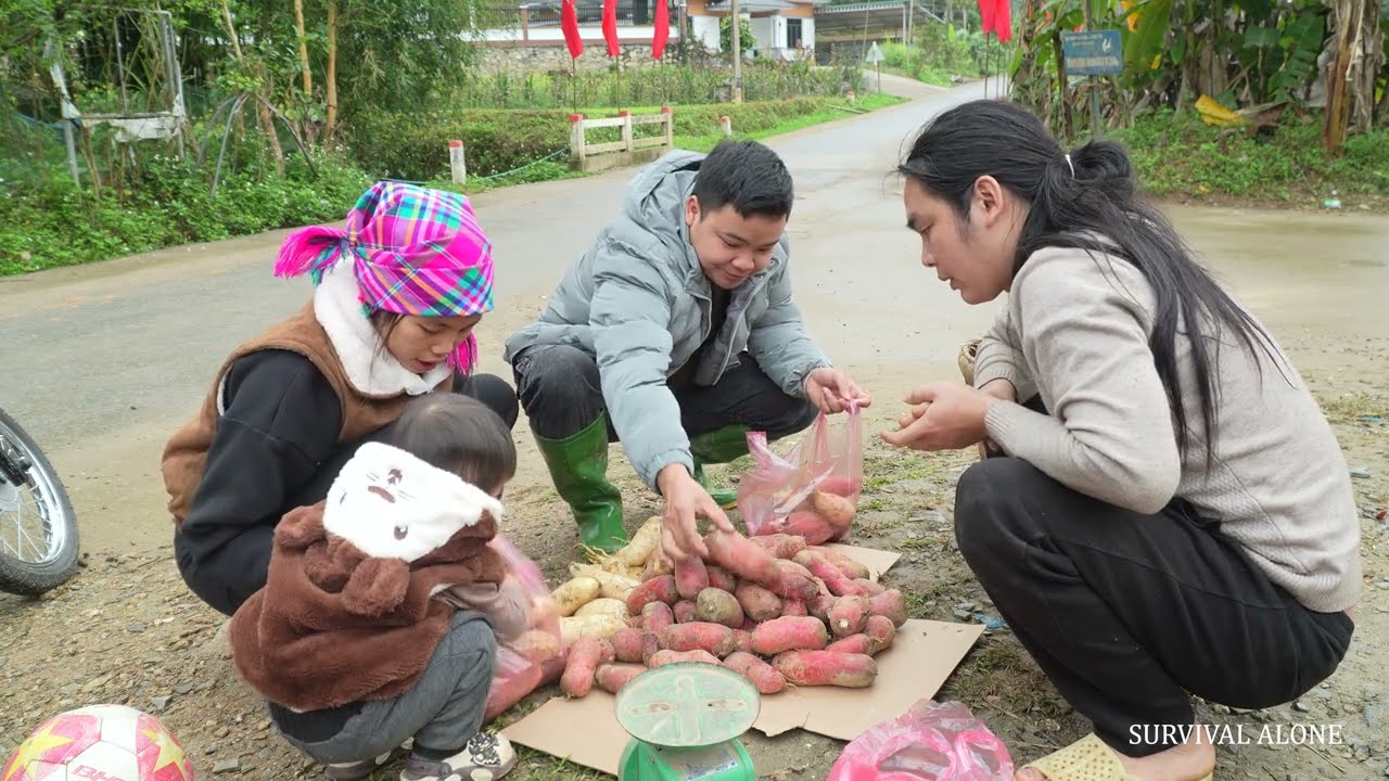 Harvesting Fresh Radishes and Taking Them to the Market | Farm Life. SURVIVAL ALONE