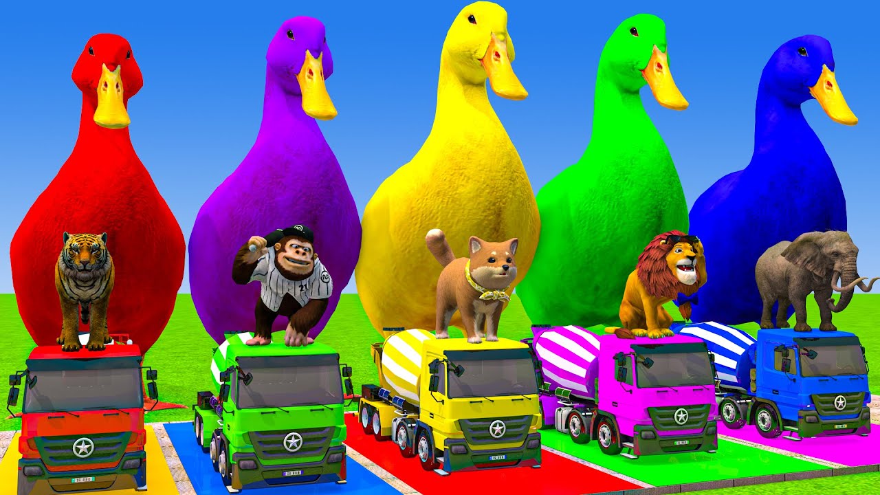 Long Slide Game With Cow Elephant Gorilla Hippopotamus Tiger 3d Animal Game Funny 3d Animals