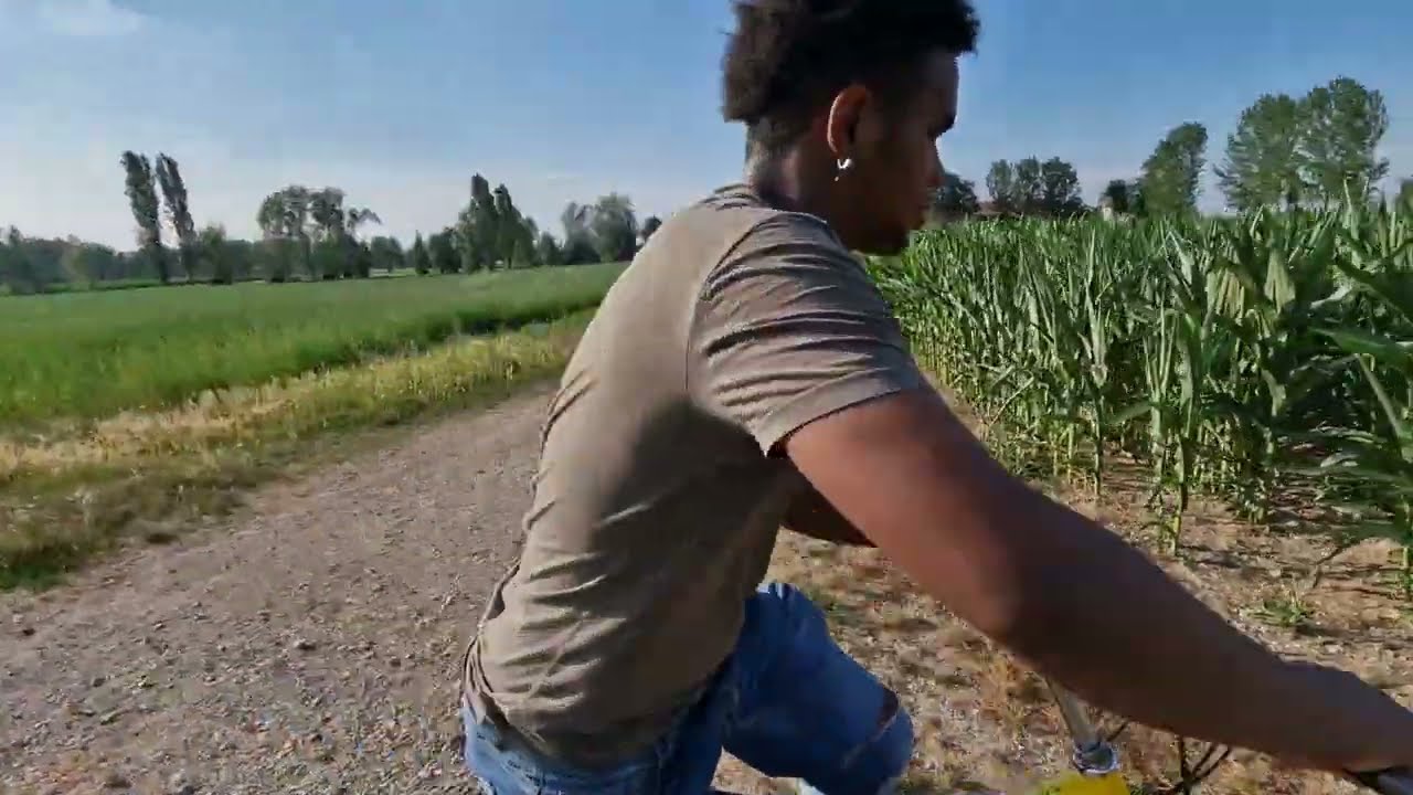 como son los  campos de italia