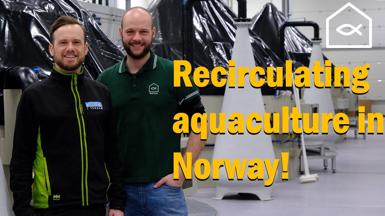 Recirculating Aquaculture System (RAS) Research in Norway at Havbruks Stasjonen, Tromsø