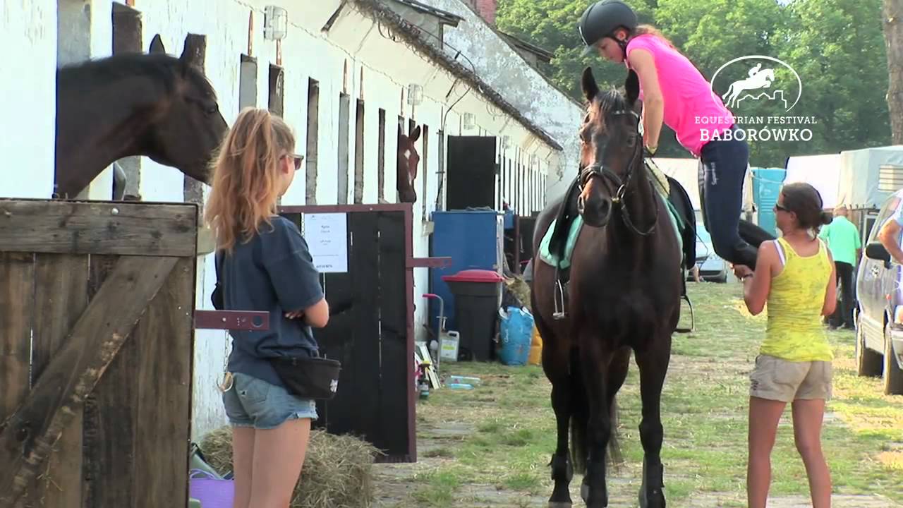 Festiwal Jeździecki Baborówko 2014 przygotowania
