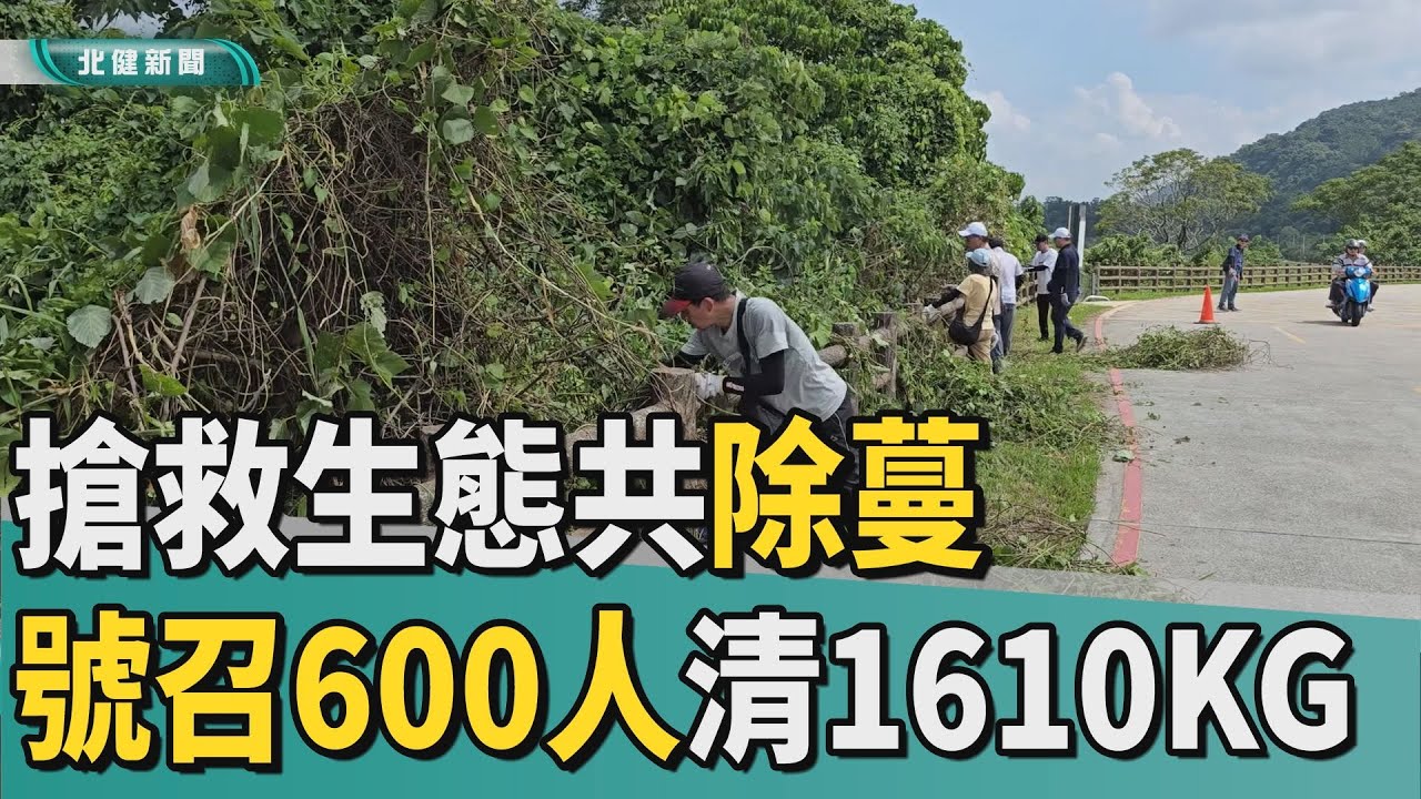 綠 癌|搶救生態共除蔓  農業局號召600人清1610公斤
