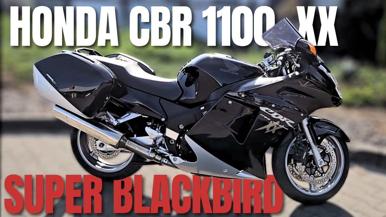 Brzoza zamiast nowego BMW S 1000 XR kupił 20-letnią Hondę CBR 1100 XX Super Blackbird... Zwariował??