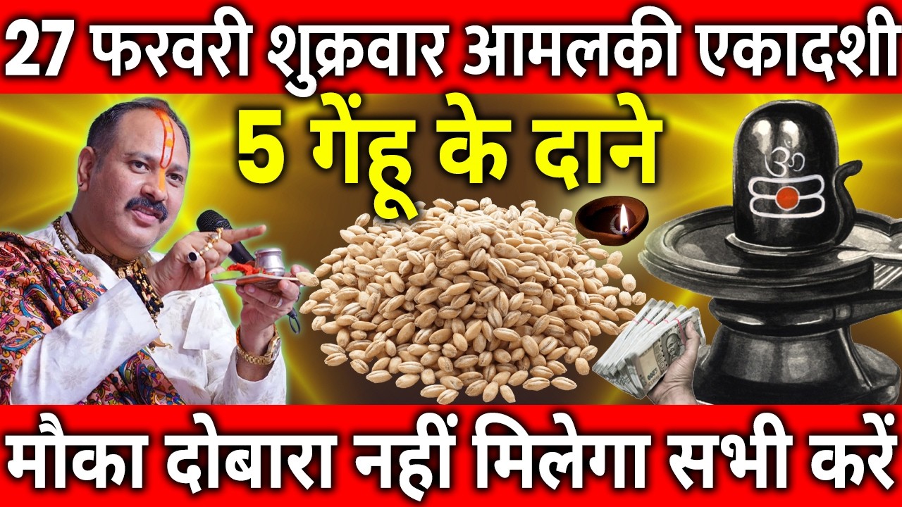 27 फरवरी शुक्रवार आमलकी एकादशी व्रत के दिन 5 गेंहू के दाने वाला उपाय जरुर करे || Pradeep Ji Mishra