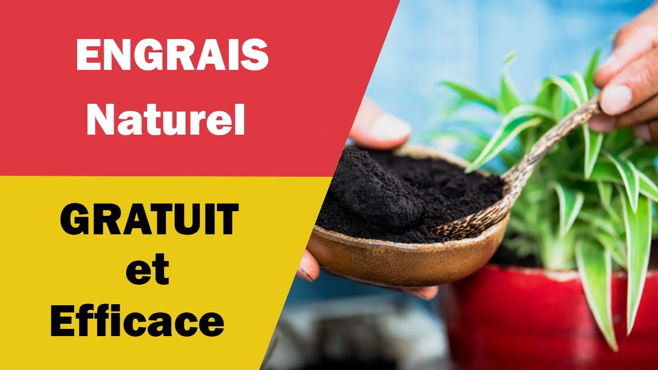 Engrais Naturels Gratuits Efficaces