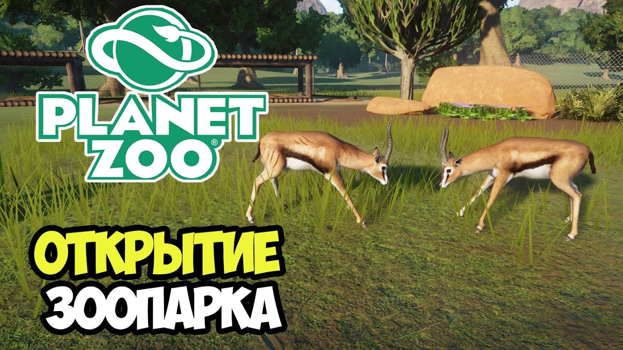 Planet Zoo | Первый зоопарк во франшизе #1