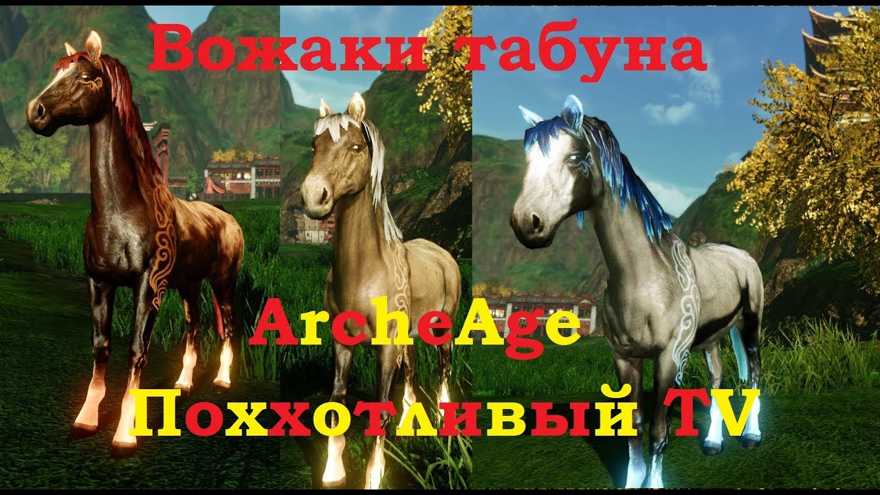 ArcheAge - ГАЙД! Как получить вожака табуна? Их характеристики и скилы (Все виды  мастей) + Титул