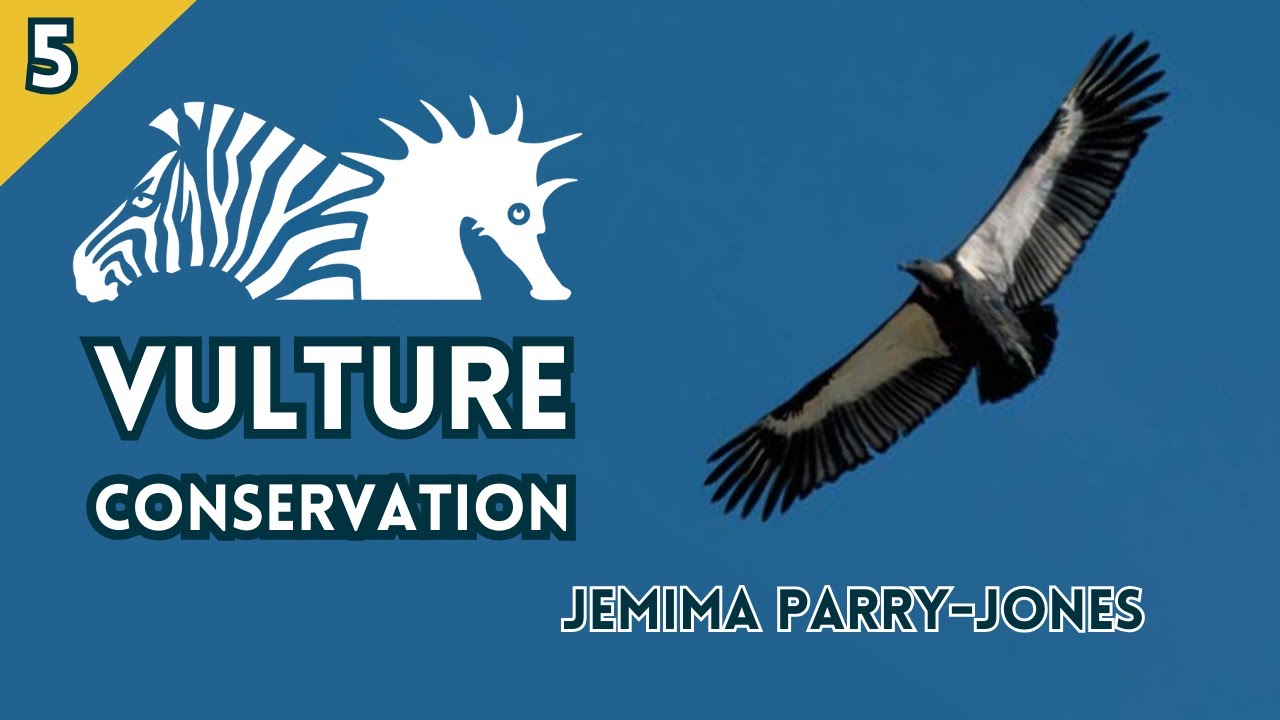 BIAZA Brings You... Jemima Parry-Jones | ICBP Vulture Conservation