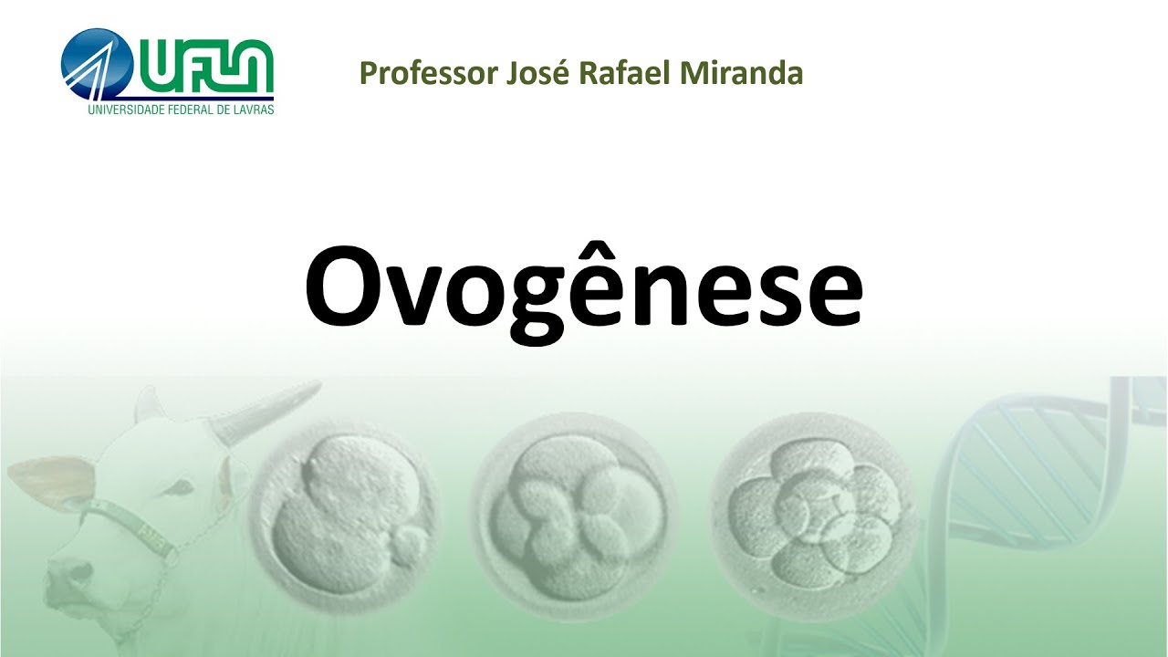 Ovogênese