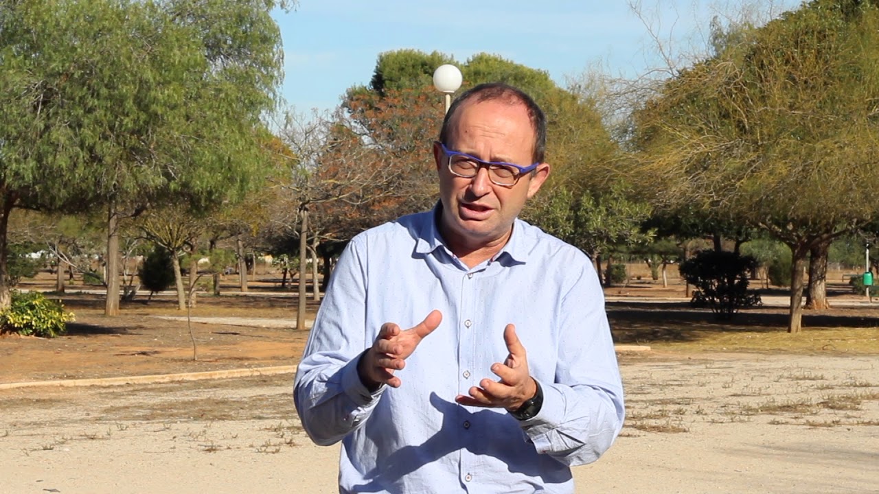 Contacto con la Naturaleza y Salud de los Niños