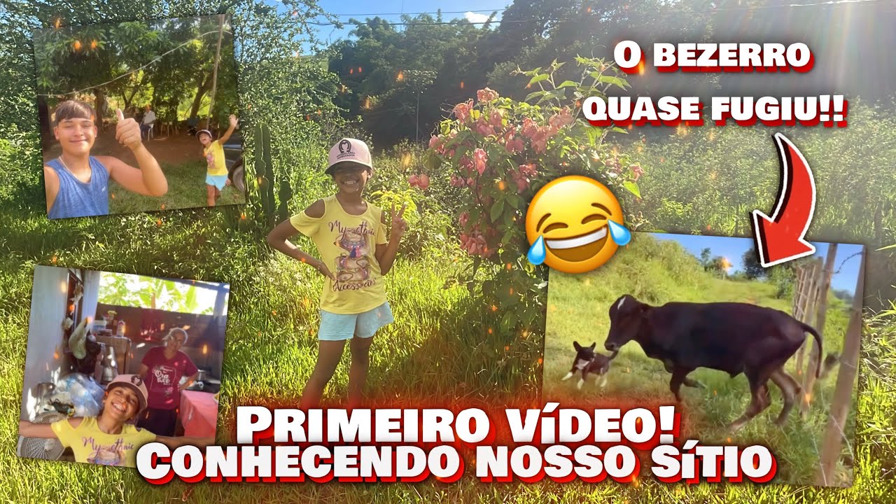 MOSTRANDO NOSSO SÍTIO!! (o bezerro quase fugiu.. 😅) *PRIMEIRO VÍDEO*