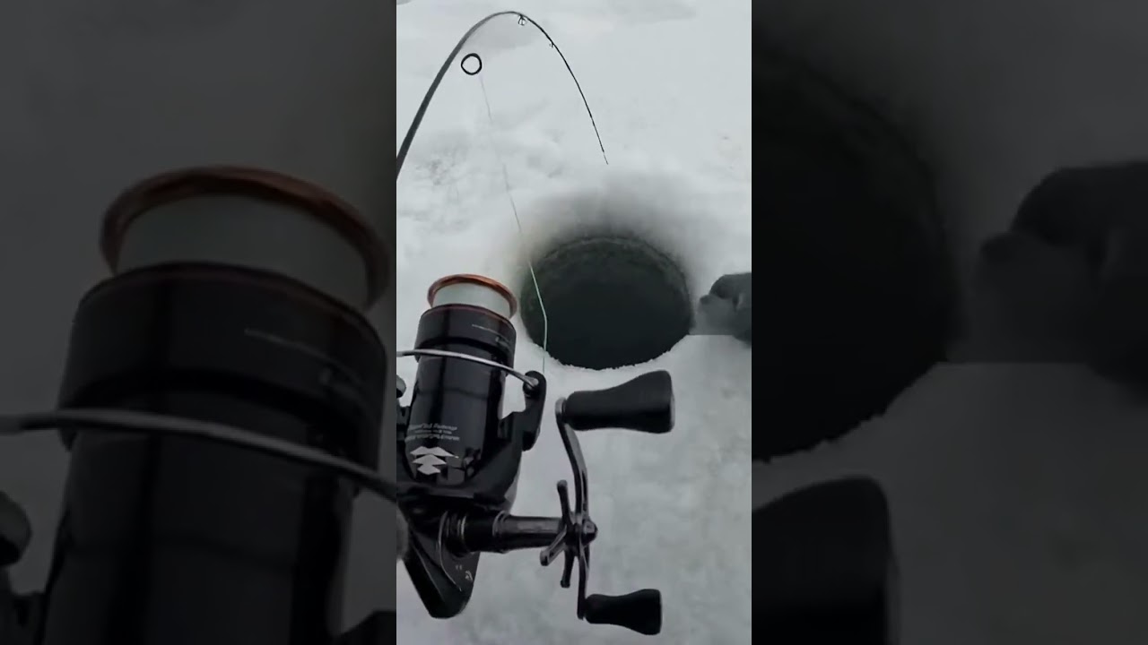 This Monster Bent the Rod Under the Ice 