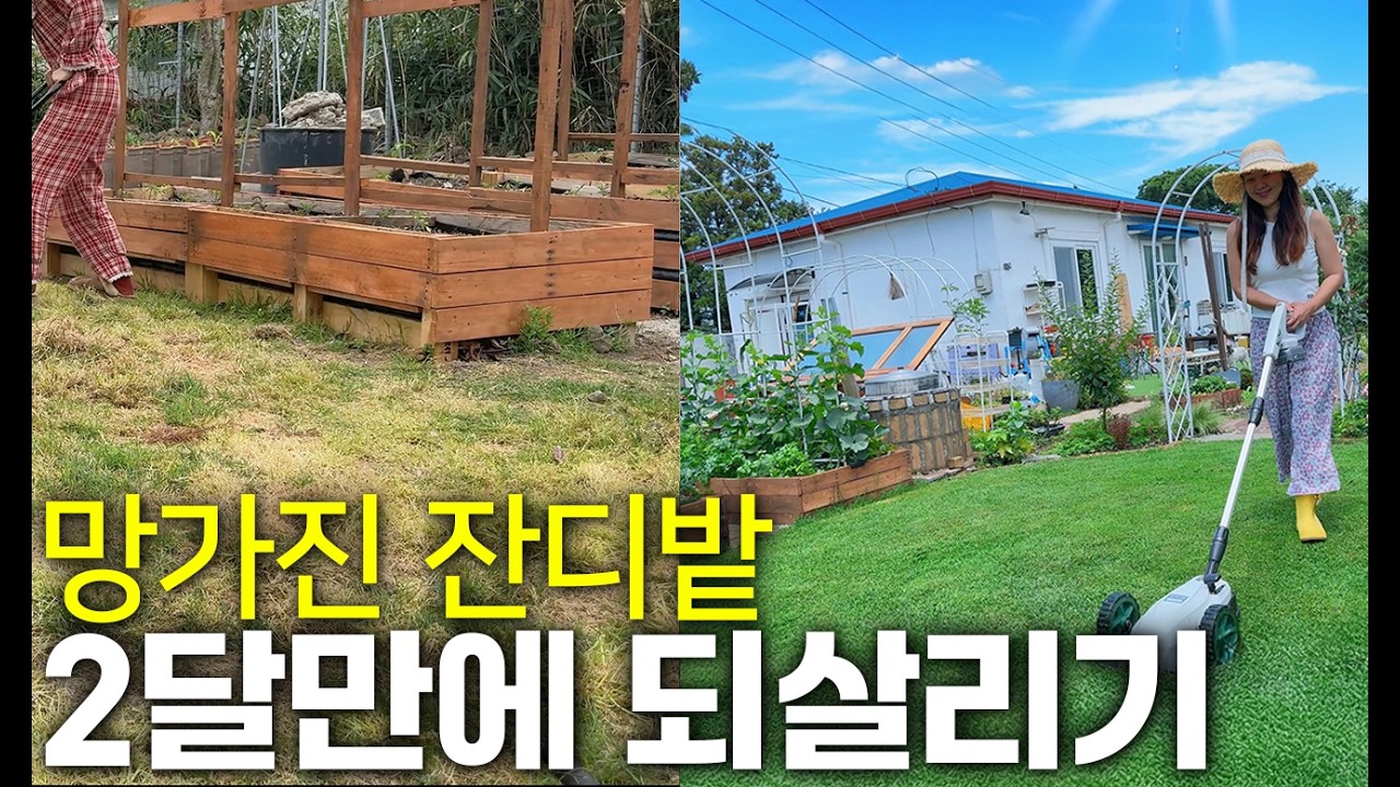 ⏳2달 만에 해결! 잡초밭 ⮕ 완벽 잔디밭 복구과정 총정리✅ | 나리온 소형 잔디깍기/잔디깍는기계 과정 총정리