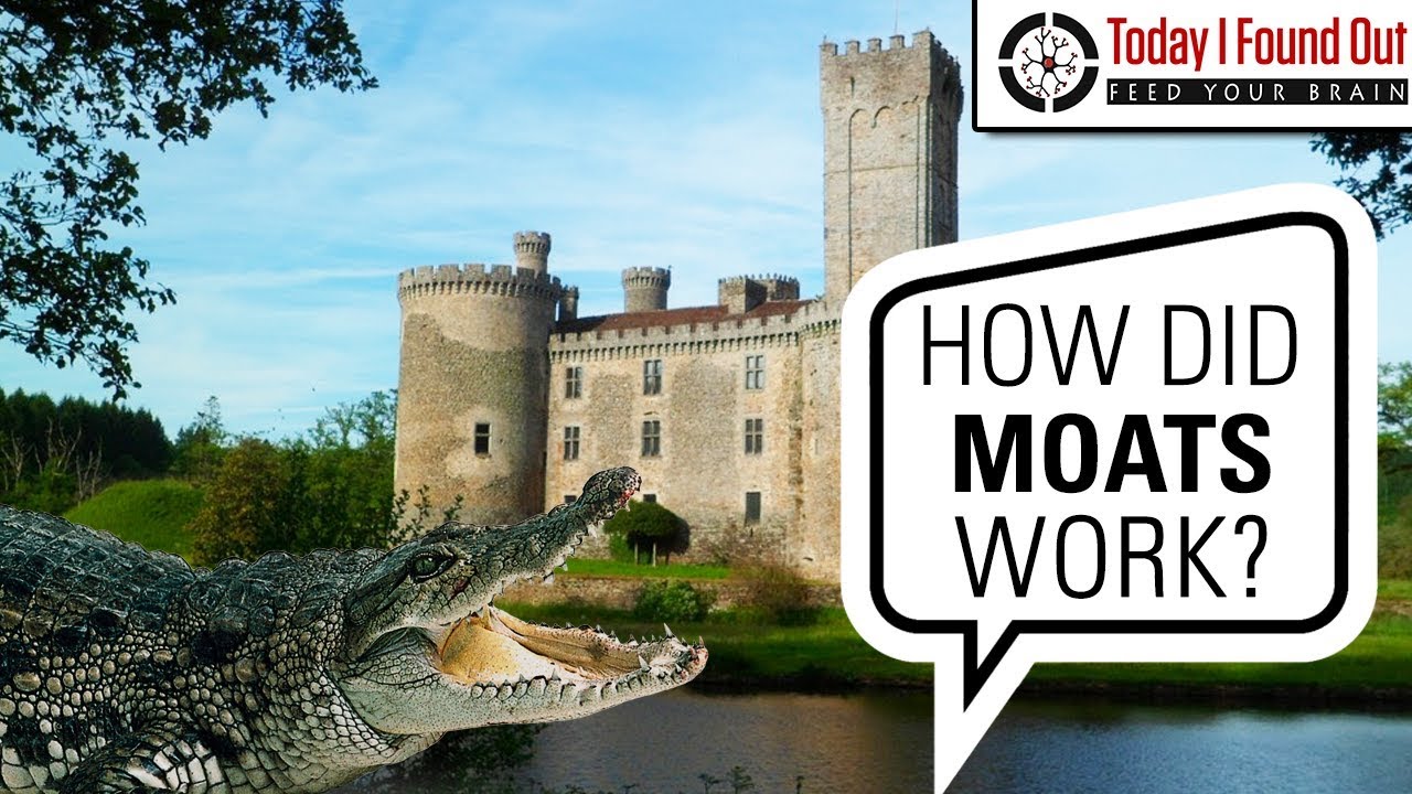 Did People Ever Really Put Crocodiles in Moats?