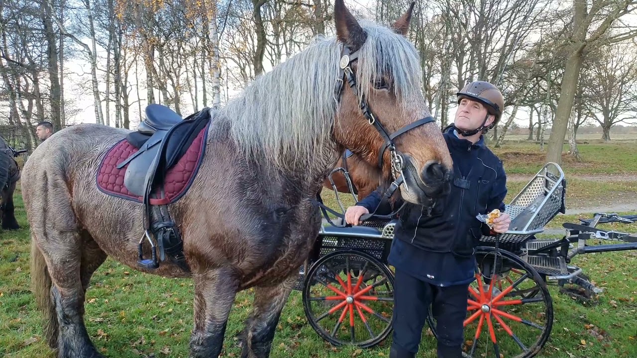 Balloër veld, Rondje met trekpaarden stal Luchtenburg