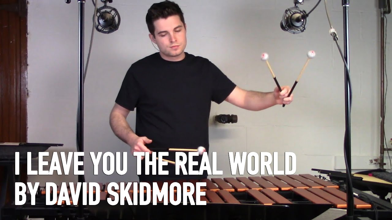 I Leave You the Real World by David Skidmore - Cameron Leach