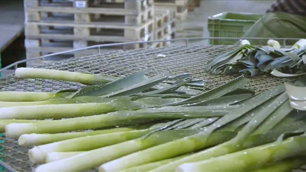 Betriebsvideo Gem&uuml;se K&auml;ser & Co. (Schweizerdeutsch)