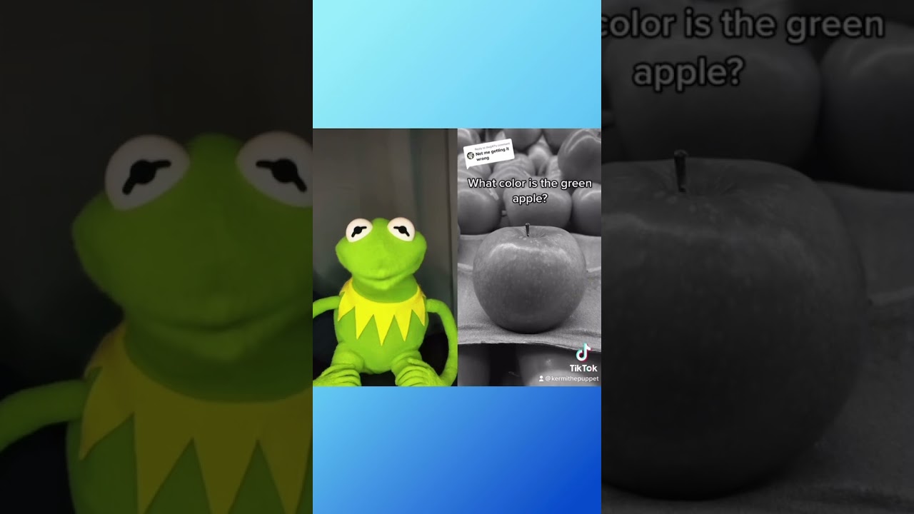 What Color Is The Green Apple Kermit The Frog Reaction Tiktok #kermitthefrog #tiktok #funnyvideo