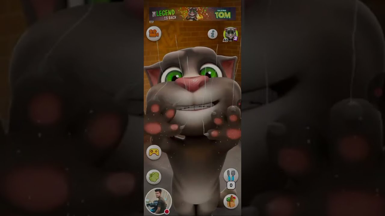 Talking Tom live streaming❤