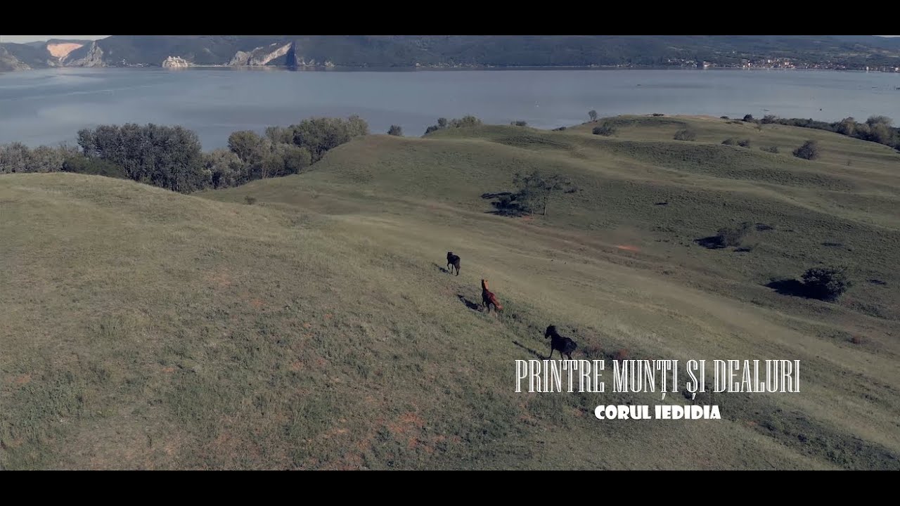 Grupul Iedidia - Printre munti