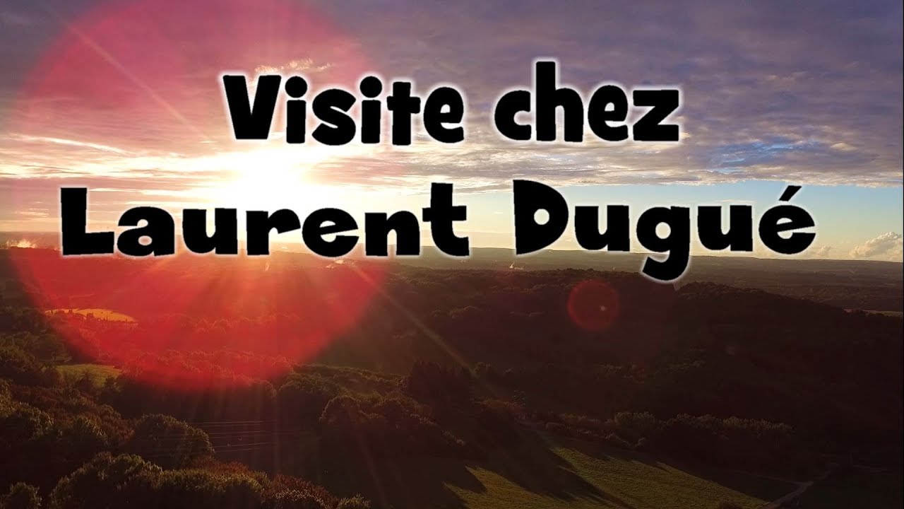 Une Saison Aux Abeilles : visite chez Laurent Dugué