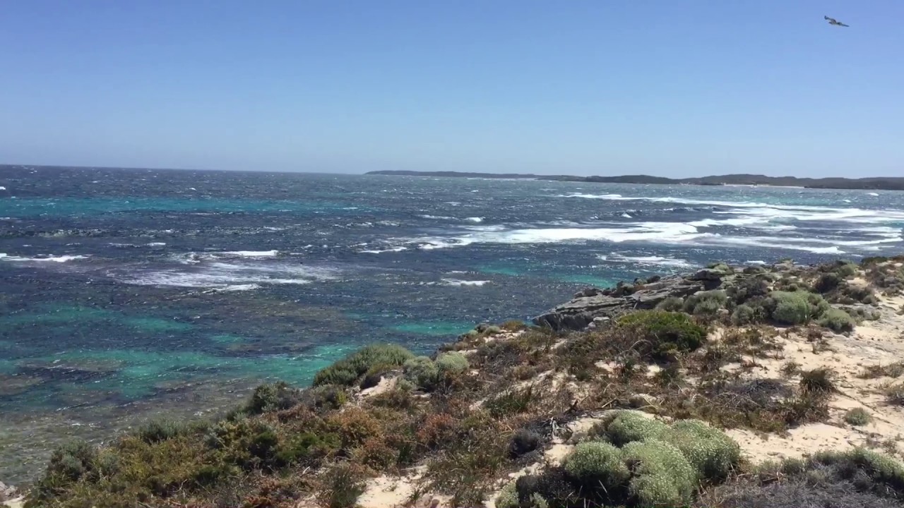 Rottenest Island