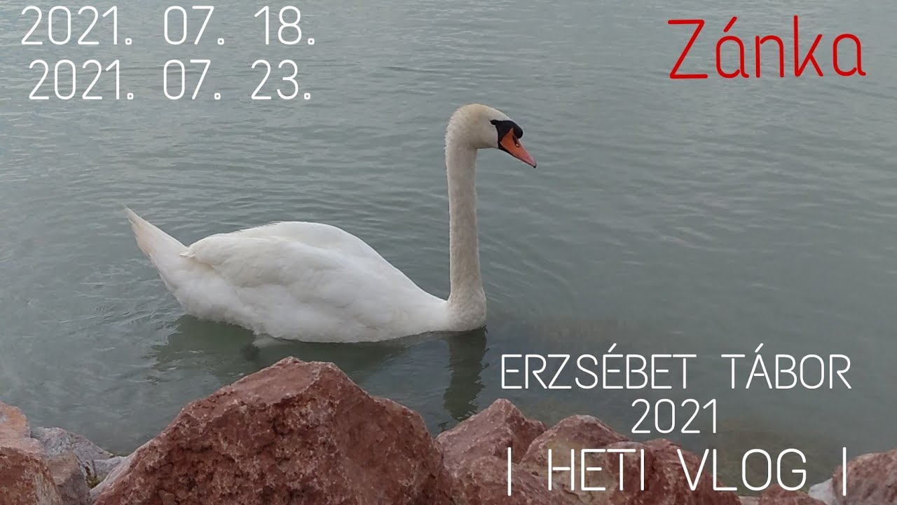 Erzsébet tábor 2021 | HETI VLOG |